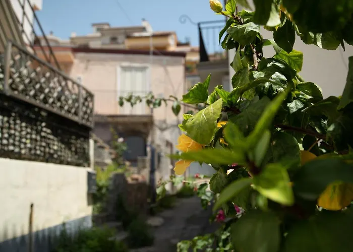 Nick & Santo's Homes